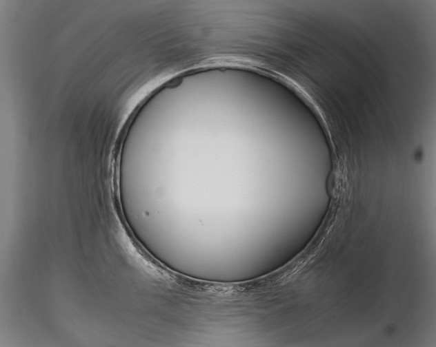 X0000116291003200912141307