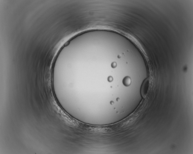 X0000116291004200912141307