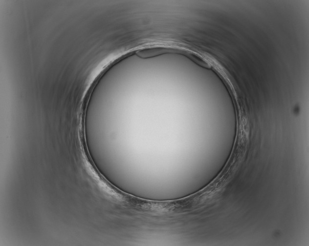 X0000116291005200912141307