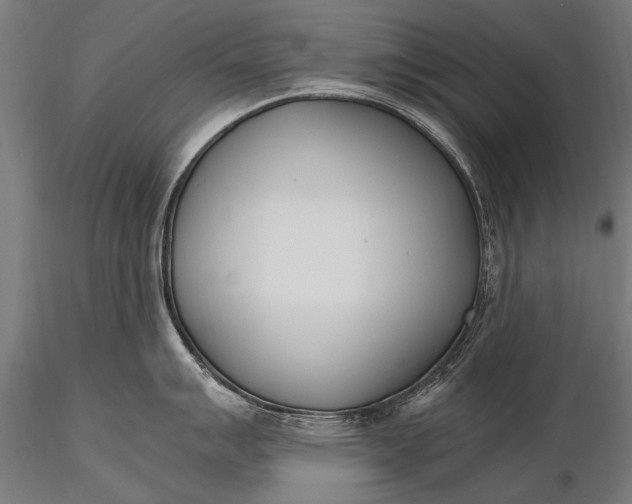 X0000116291007200912141307