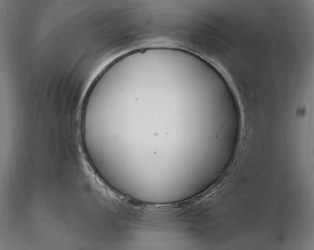 X0000116291008200912141307