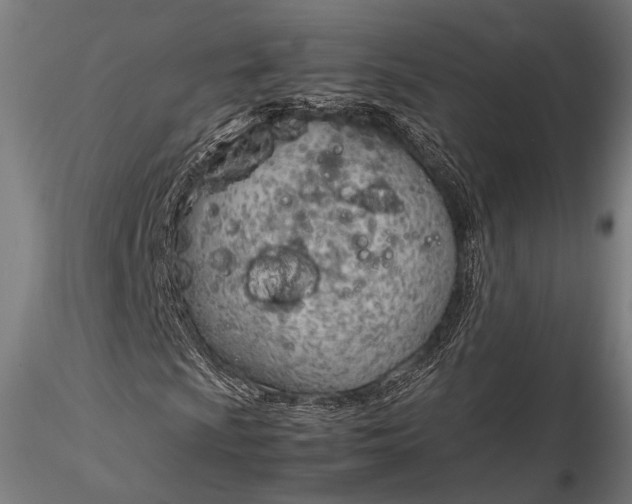 X0000116291009200912141306