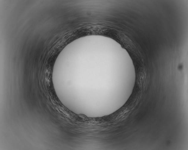 X0000116291010200912141306