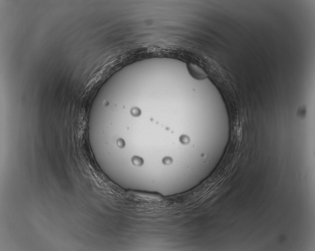 X0000116291012200912141306