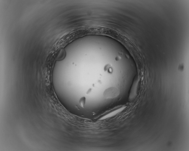 X0000116291013200912141306