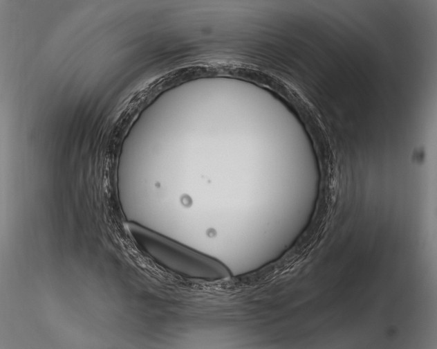 X0000116291016200912141307