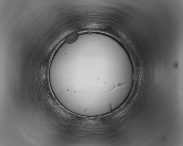 X0000116291017200912141307