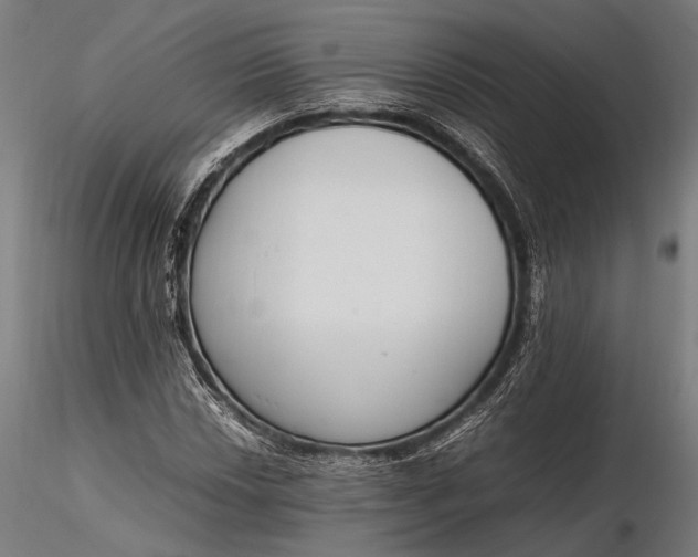 X0000116291018200912141307