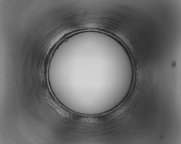 X0000116291023200912141307