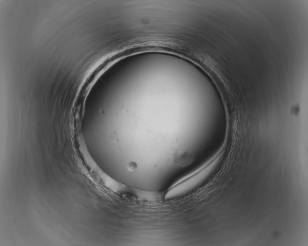 X0000116291024200912141307