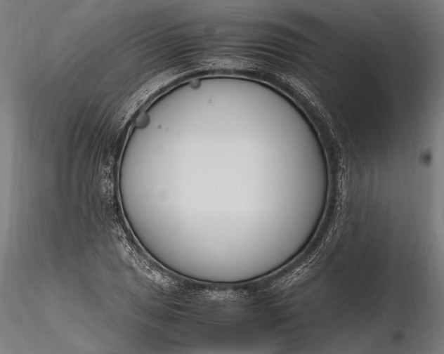 X0000116291025200912141307