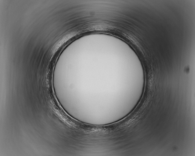 X0000116291026200912141307