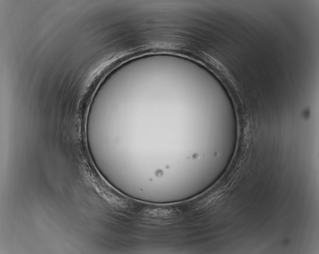 X0000116291027200912141307