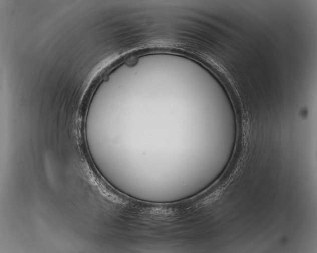 X0000116291029200912141307