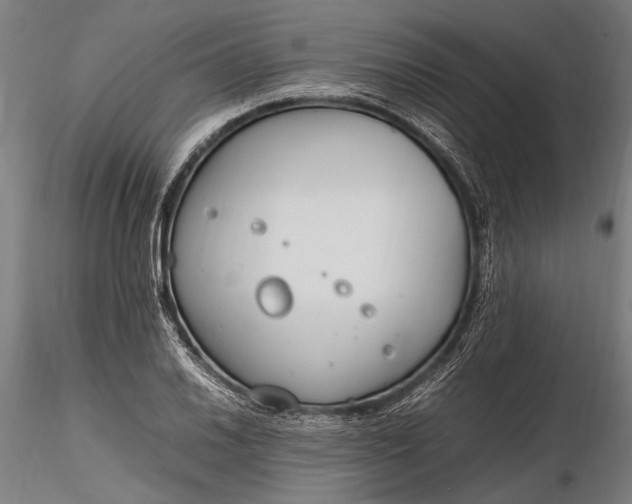 X0000116291030200912141307