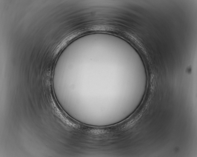 X0000116291033200912141307