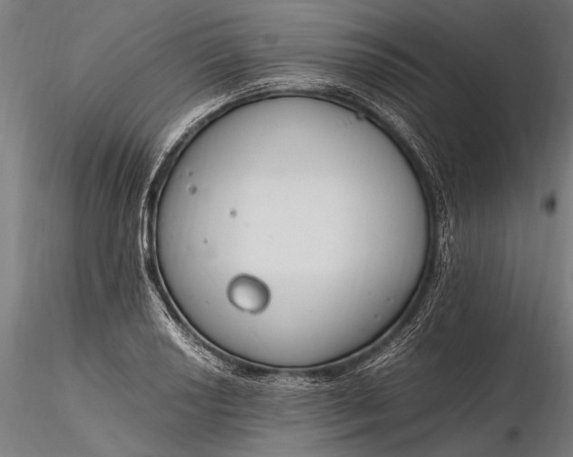 X0000116291034200912141307