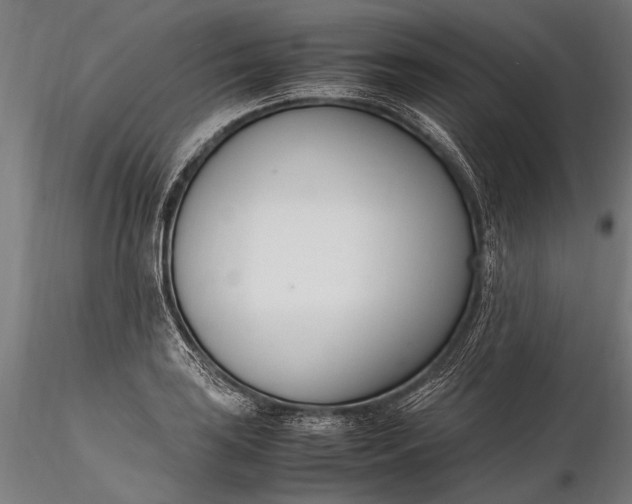 X0000116291035200912141307