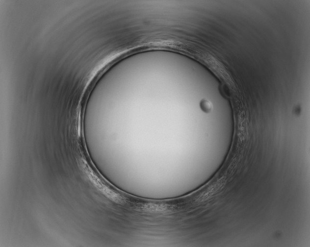 X0000116291036200912141307