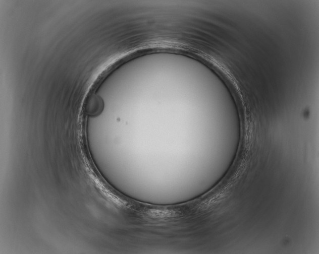 X0000116291037200912141307