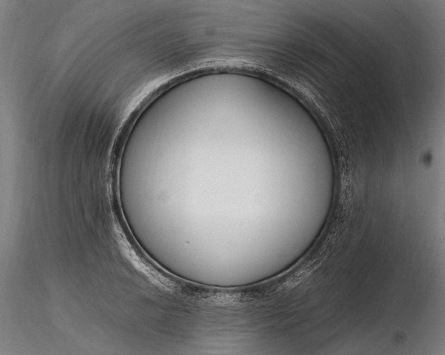 X0000116291038200912141307