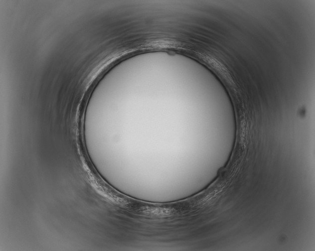 X0000116291039200912141307