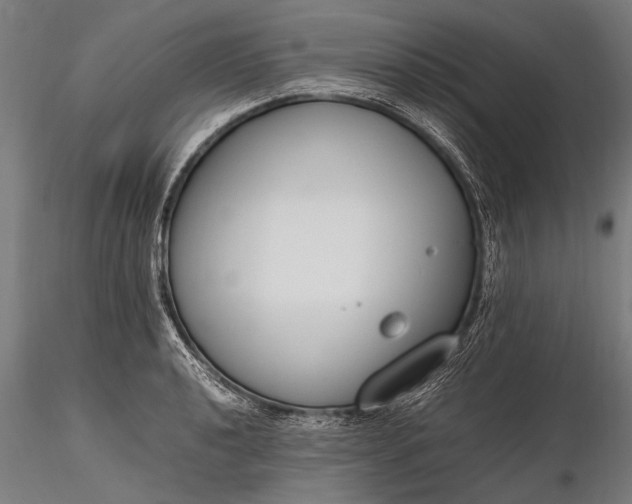 X0000116291040200912141307