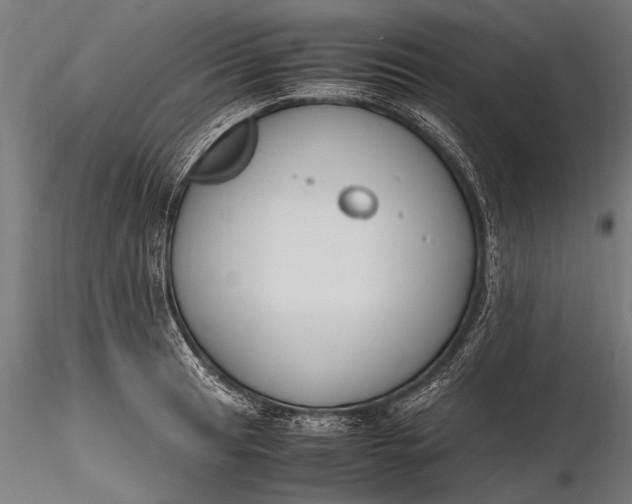 X0000116291041200912141307