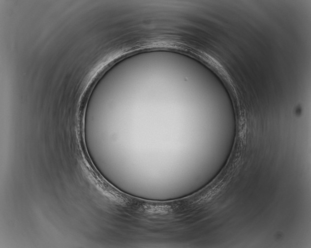 X0000116291043200912141307