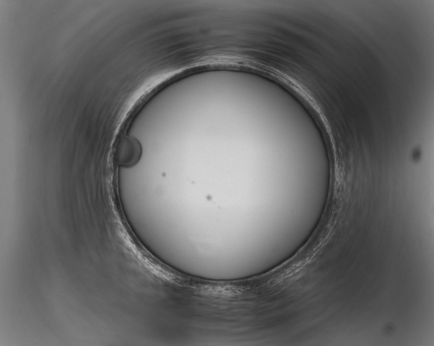 X0000116291045200912141307