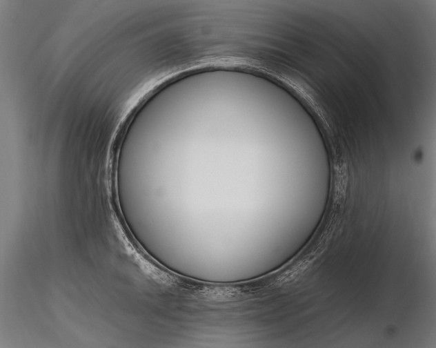 X0000116291046200912141307