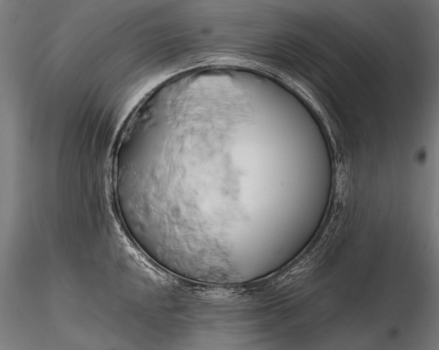 X0000116291048200912141307