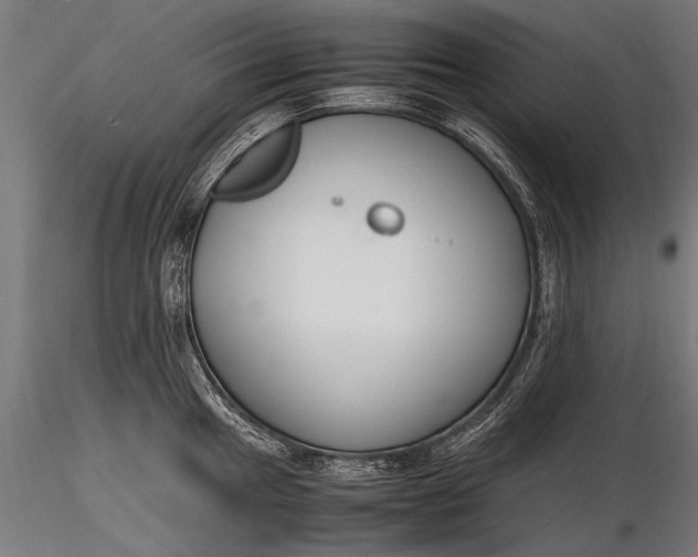 X0000116291049200912141307