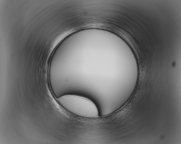 X0000116291050200912141307