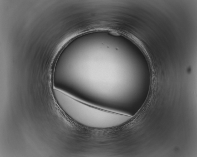 X0000116291051200912141307