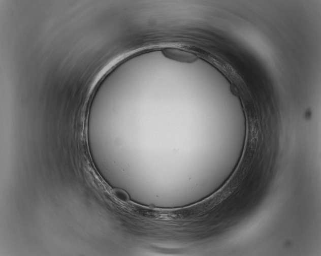 X0000116291052200912141307