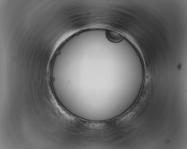 X0000116291053200912141307