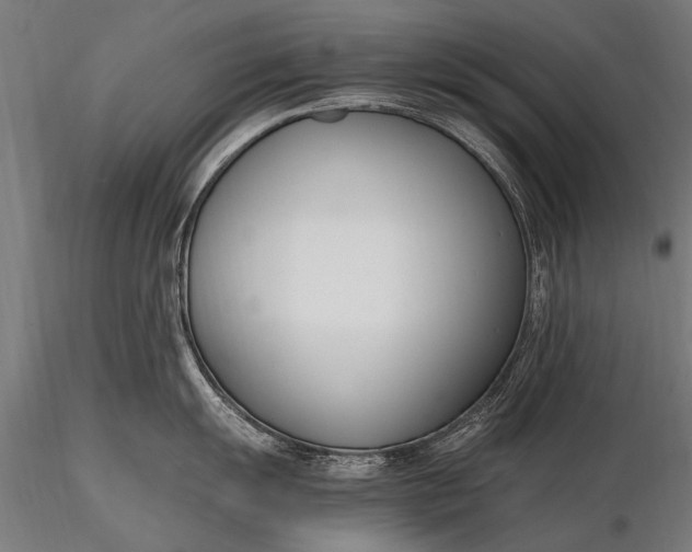 X0000116291055200912141307