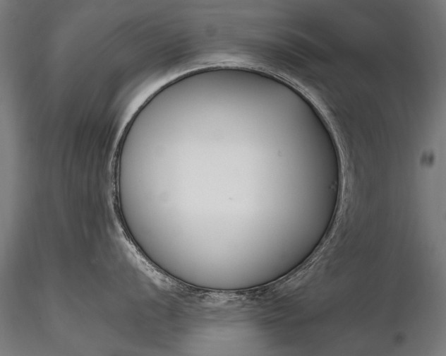 X0000116291056200912141307