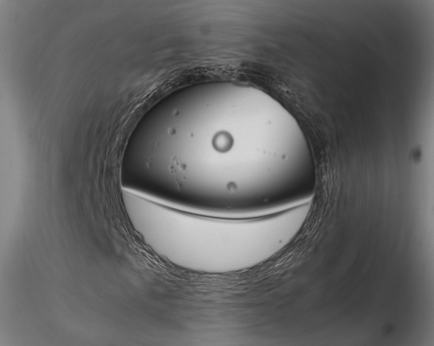 X0000116291057200912141306