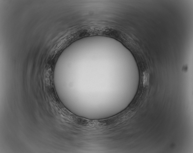 X0000116291059200912141306