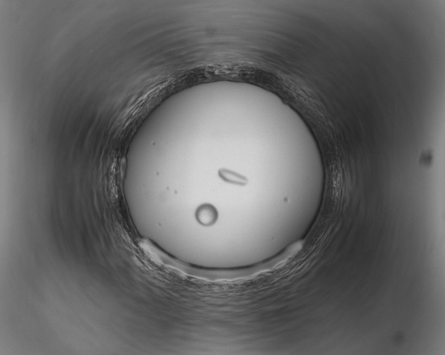 X0000116291060200912141306