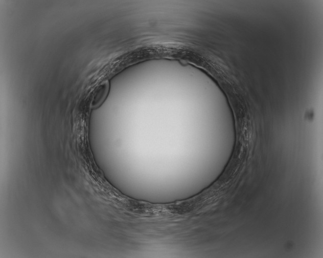 X0000116291061200912141306