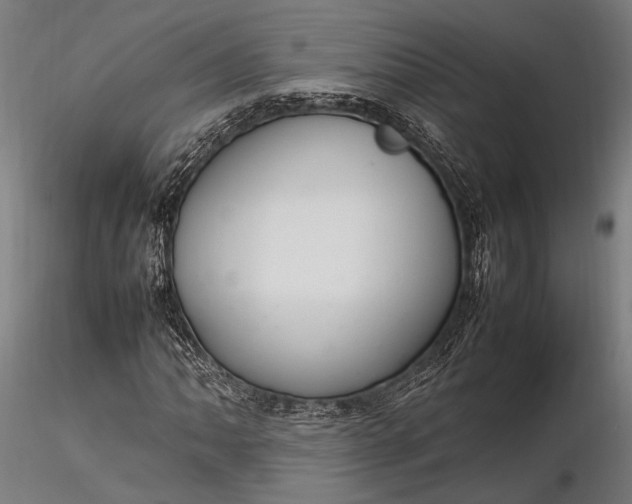 X0000116291062200912141306