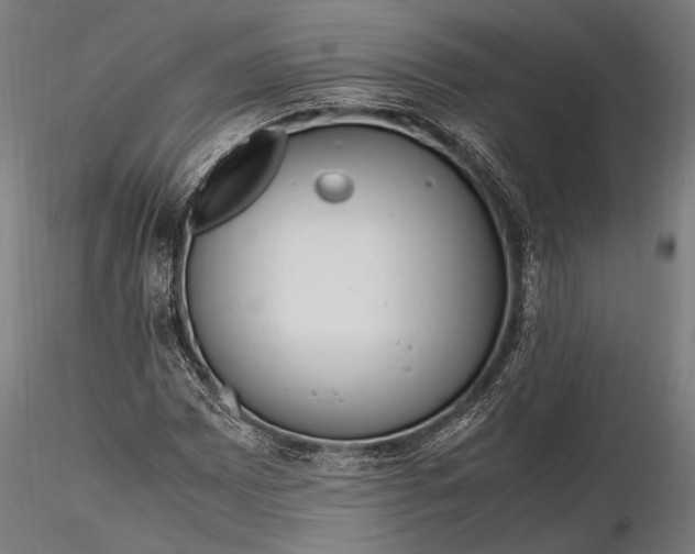 X0000116291065200912141306