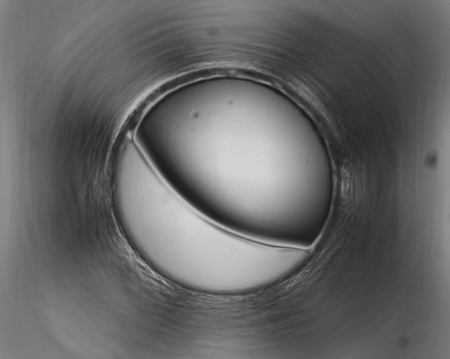 X0000116291068200912141306