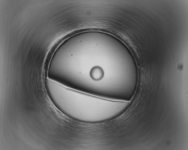 X0000116291072200912141306