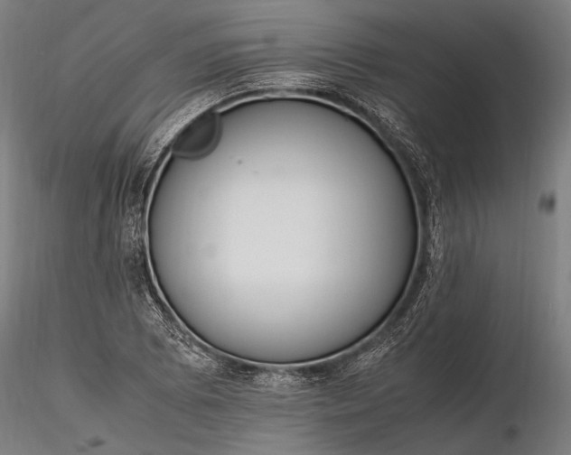 X0000116291073200912141306