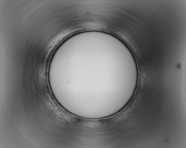 X0000116291074200912141306