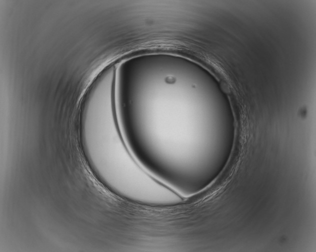 X0000116291075200912141306